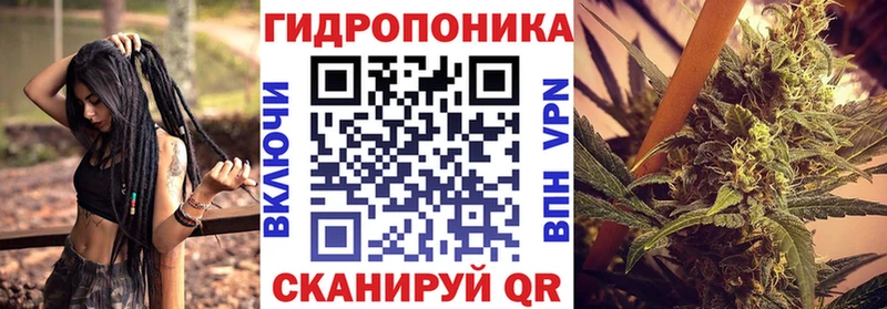 МАРИХУАНА семена Камызяк