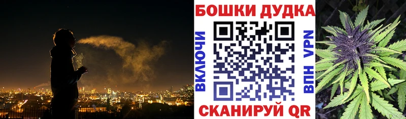 mega маркетплейс  где купить   Камызяк  нарко площадка какой сайт  Бошки марихуана конопля 